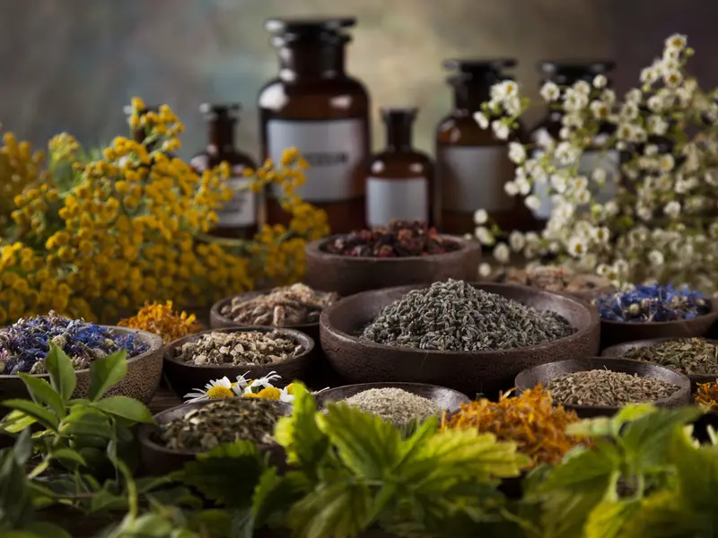 Apothecary bottles and bowls of dried botanicals, representative of the all-natural body care category