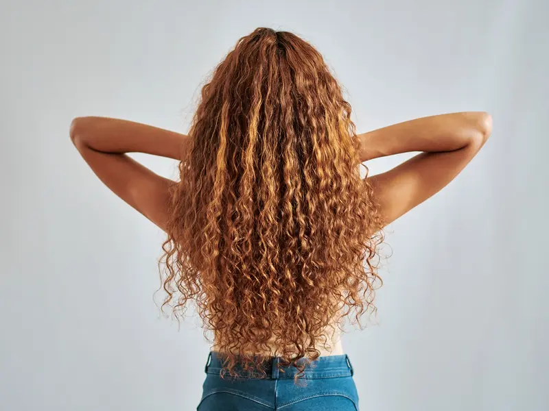 A back view of long, natural curly hair, representative of the textured hair care category